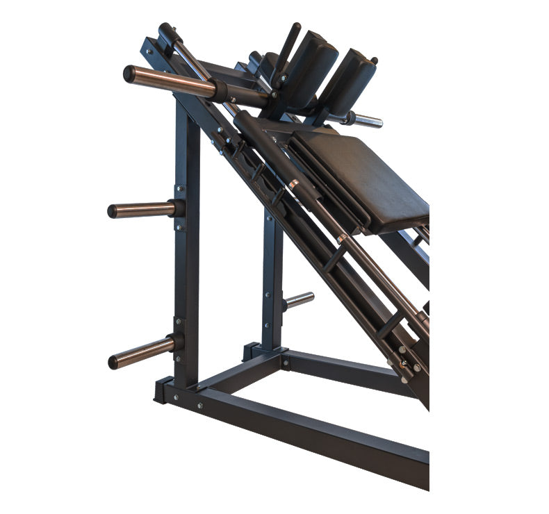 Máquina Dual Squat y Leg Press ION fitness DSLP3000