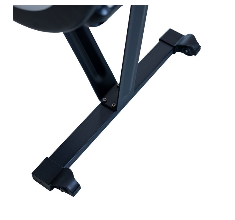 Remo Ergómetro ION fitness Norfolk Advanced