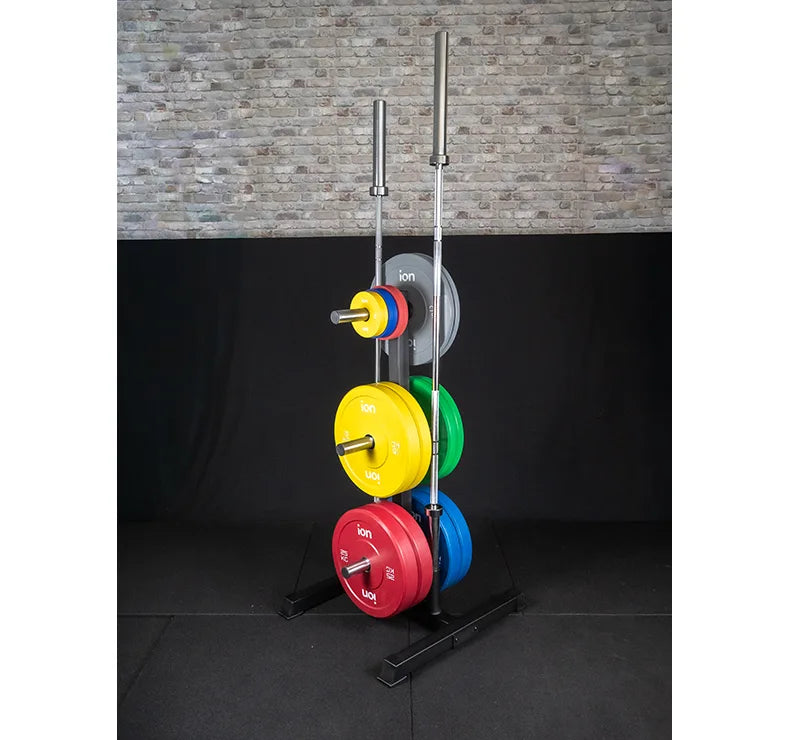 Supporto per Dischi e Bilancieri olimpici ION fitness